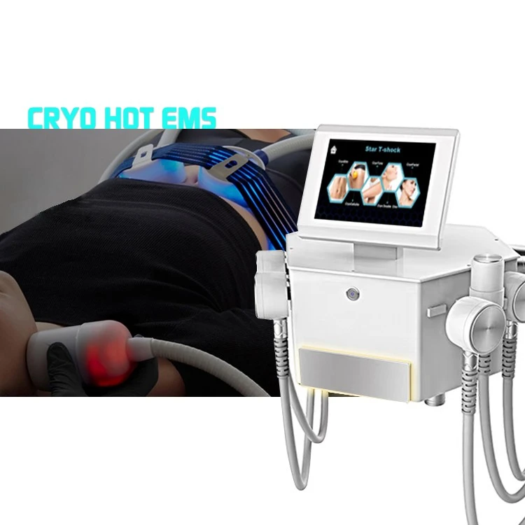 Cryoskin Machine MNLT Factory suppliers
