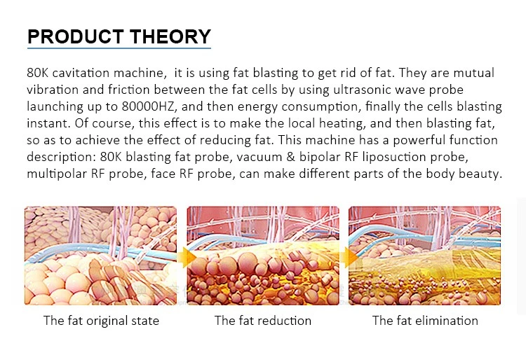 theory theory